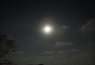 月の松島　in　観瀾亭